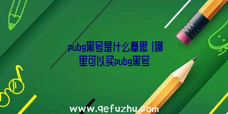 「pubg黑号是什么意思」|哪里可以买pubg黑号